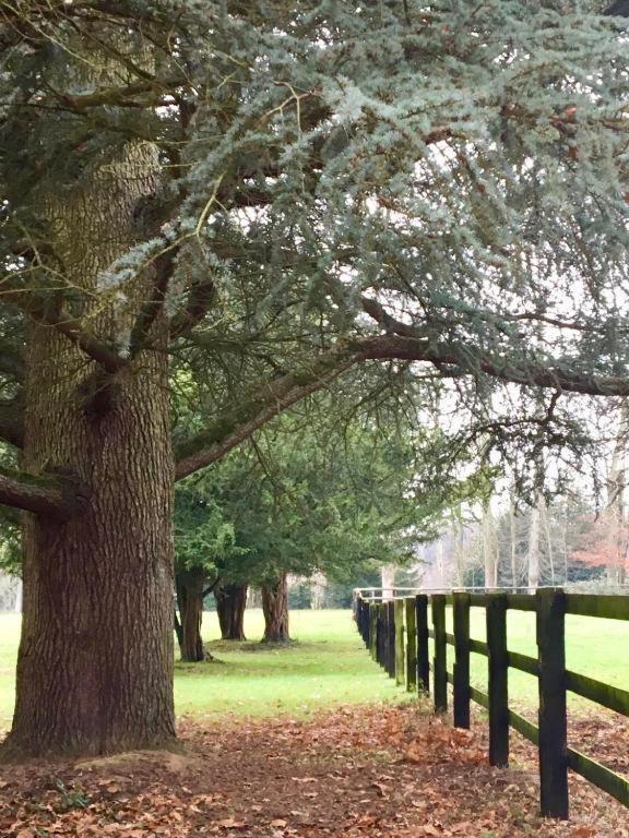 Bed and Breakfast Domaine Des Ifs Le Pin  Exterior foto