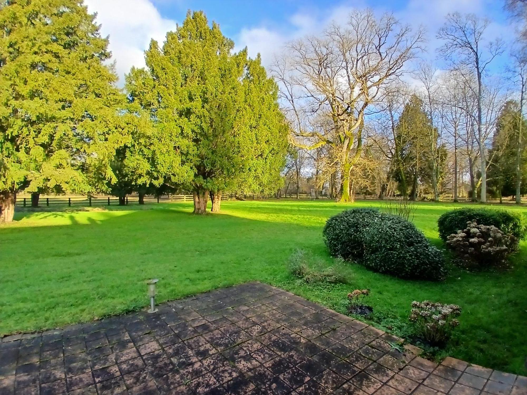 Bed and Breakfast Domaine Des Ifs Le Pin  Exterior foto