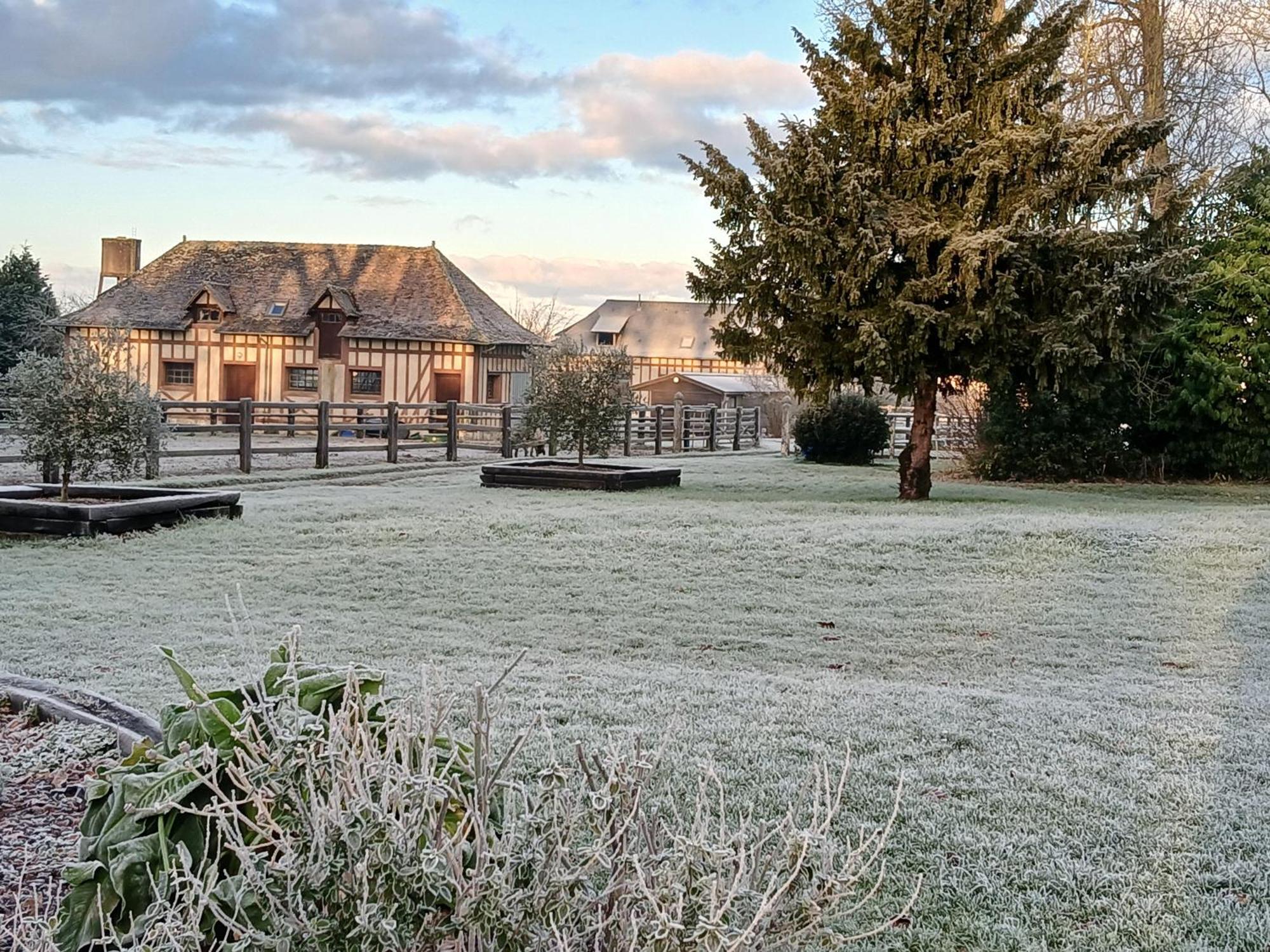 Bed and Breakfast Domaine Des Ifs Le Pin  Exterior foto
