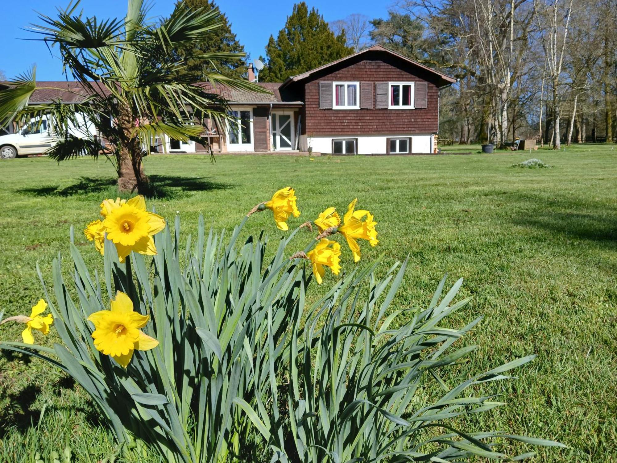 Bed and Breakfast Domaine Des Ifs Le Pin  Exterior foto