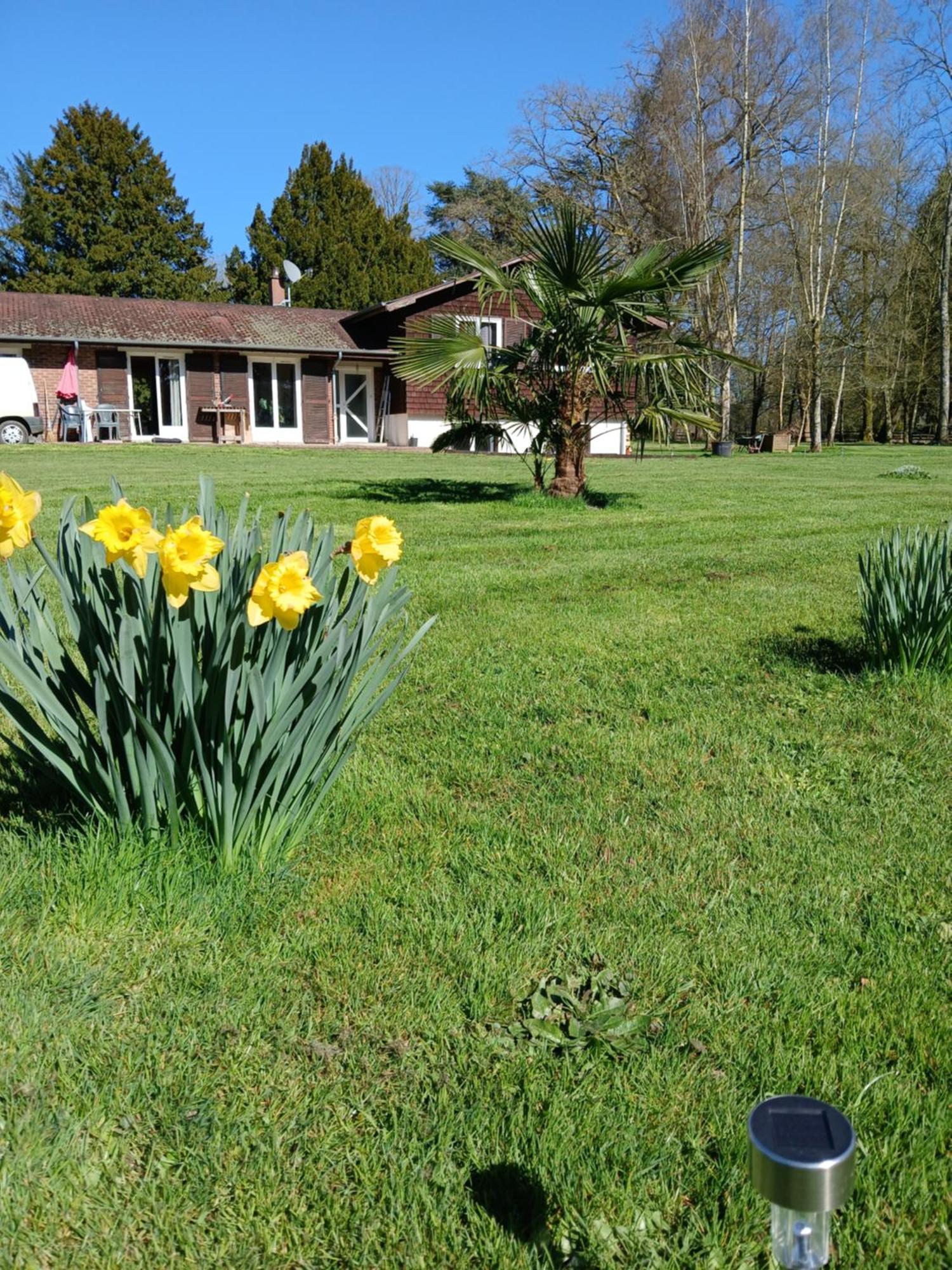 Bed and Breakfast Domaine Des Ifs Le Pin  Exterior foto