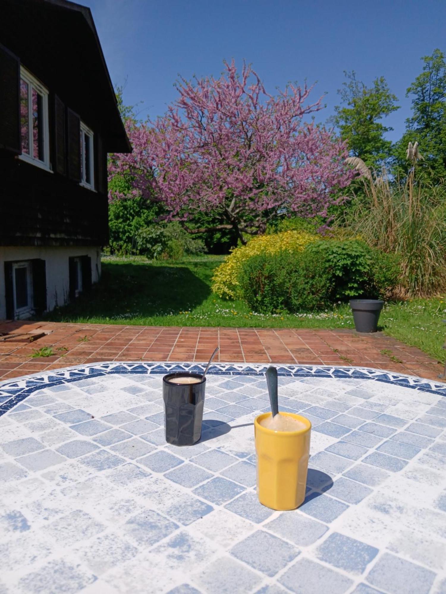 Bed and Breakfast Domaine Des Ifs Le Pin  Exterior foto
