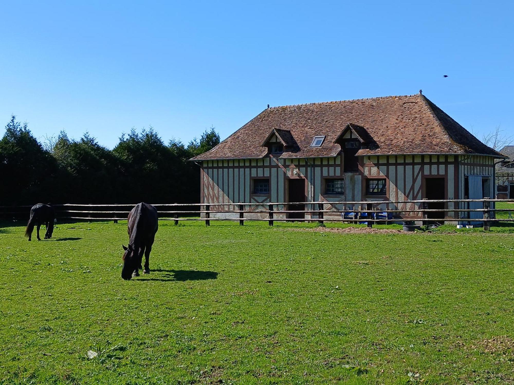 Bed and Breakfast Domaine Des Ifs Le Pin  Exterior foto
